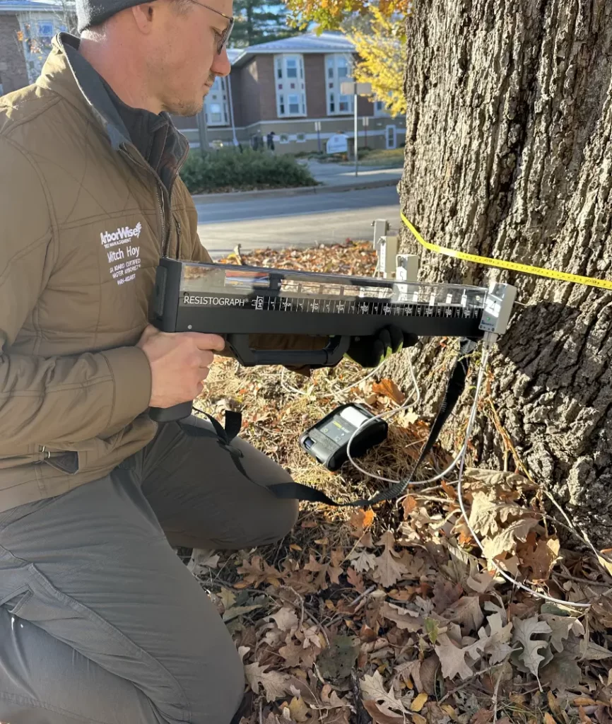 Arborist Near Me